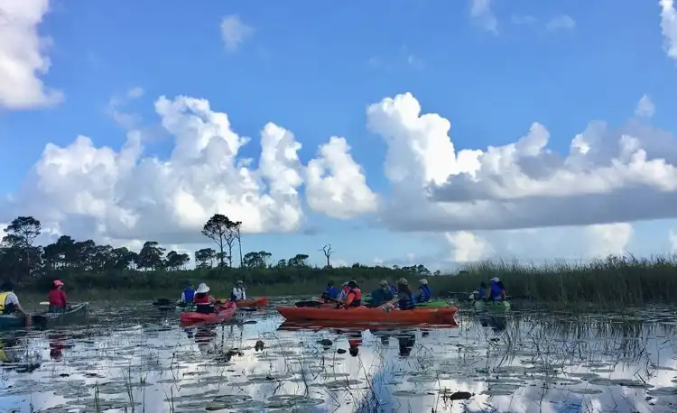 Khách sạn SpringHill Suites by Marriott tại Port St. Lucie