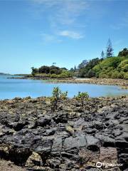 Whangaroa Harbour