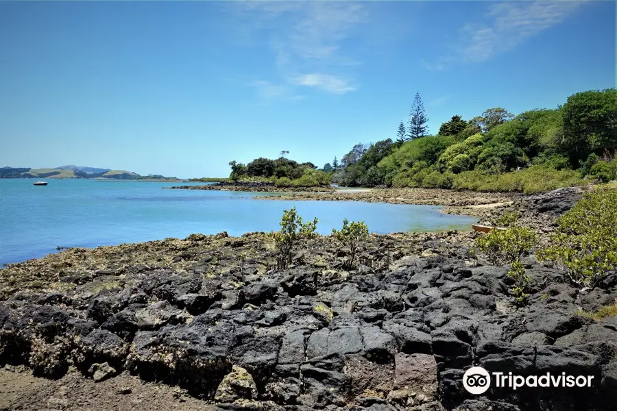 Whangaroa Harbour