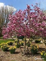 Boone County Arboretum and Butterfly Garden