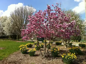 Boone County Arboretum and Butterfly Garden