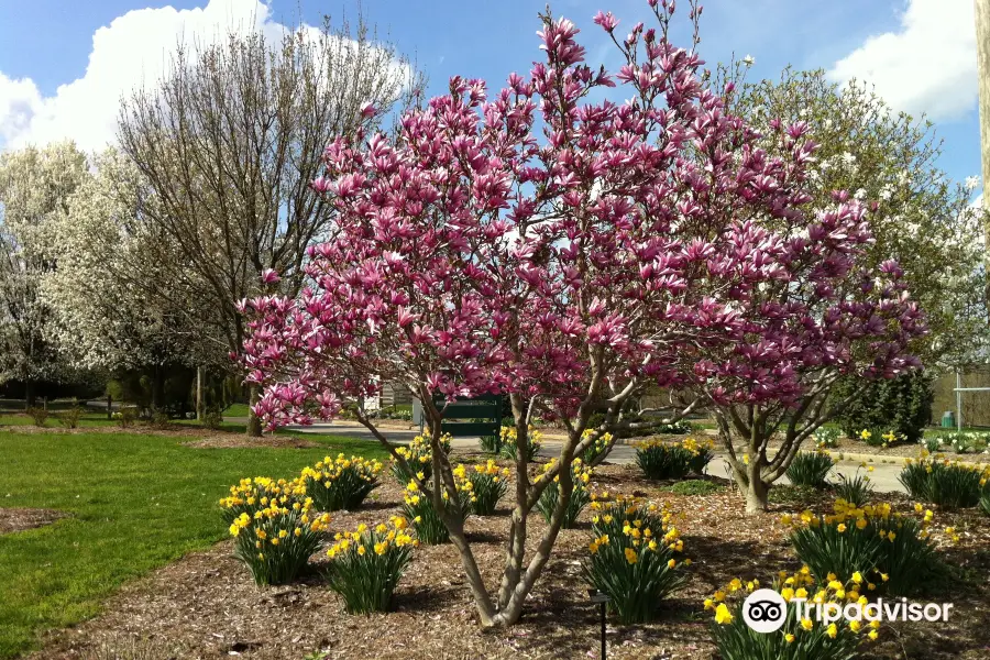 Boone County Arboretum