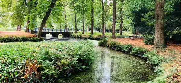Hotels in Loosdrecht