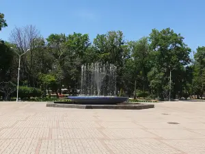 Mariupol City Garden