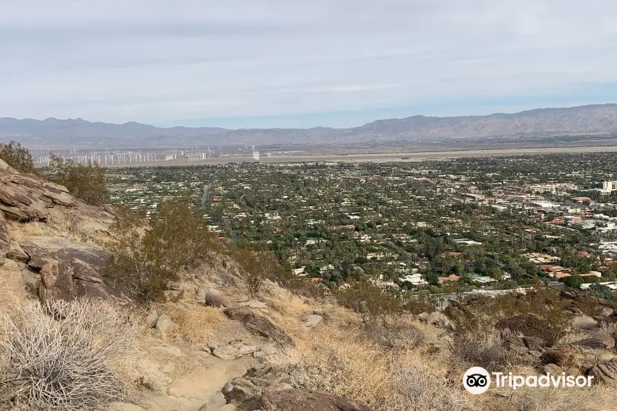 Cactus to Clouds Trail