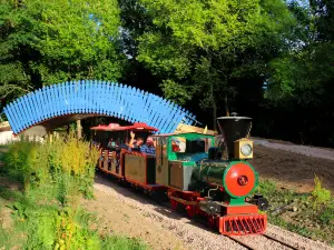 Clyde Valley Family Park