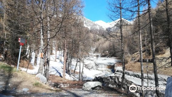 Livigno