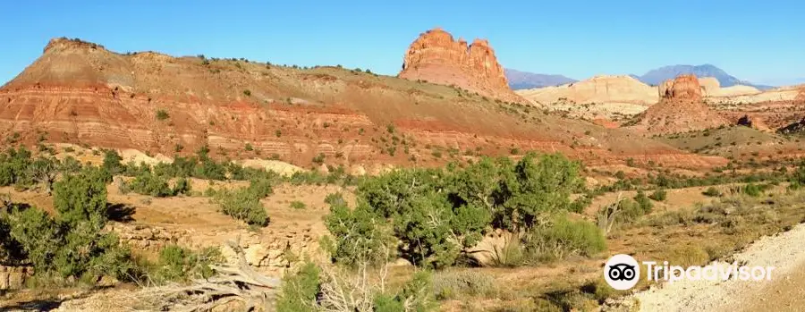 Burr Trail