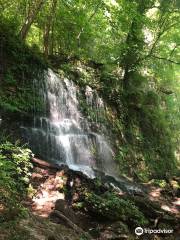 Cane Creek Falls