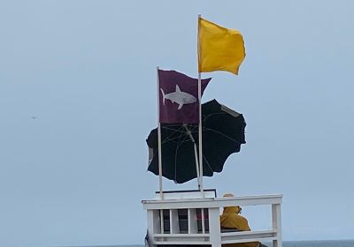 Coast Guard Beach