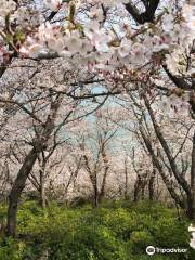 赤穂御崎公園