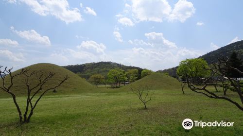 Royal Tomb of King Taejong Muyeol