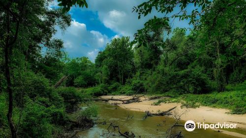 George Mitchell Nature Preserve