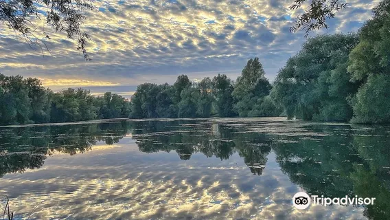 Barnwell Country Park