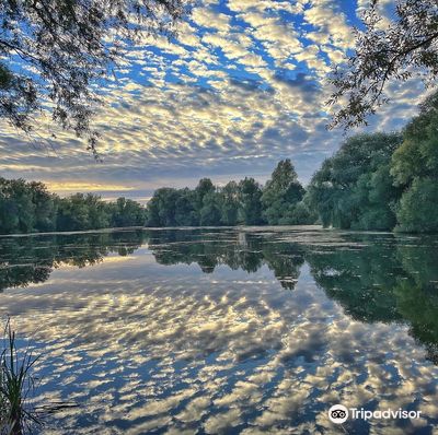 Barnwell Country Park