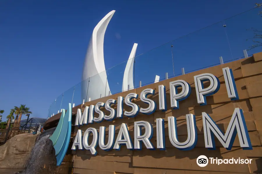 Mississippi Aquarium