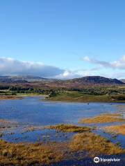 RSPB Insh Marshes