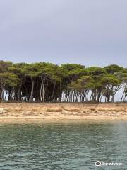 Isole Cheradi - Isola San Pietro e San Paolo