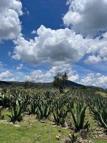 Nanacamilpa de Mariano Arista