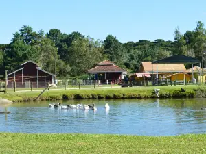 Vila dos Animais
