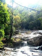 Ton Chong Fa Waterfall