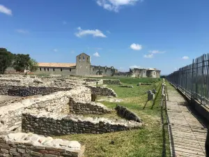 Scavi Archeologici Di Venosa