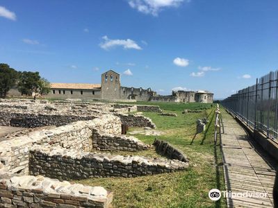 Scavi Archeologici Di Venosa