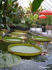 Jardin Botanique du Beau Pays