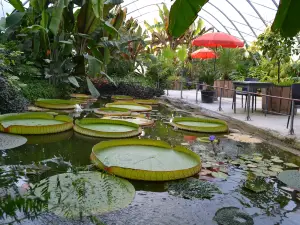 дю Бо Пеи Ботанический сад