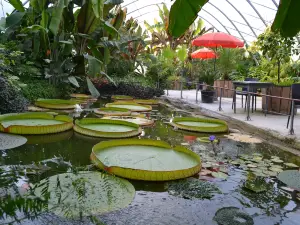 デュ・ボー・ペイ植物園