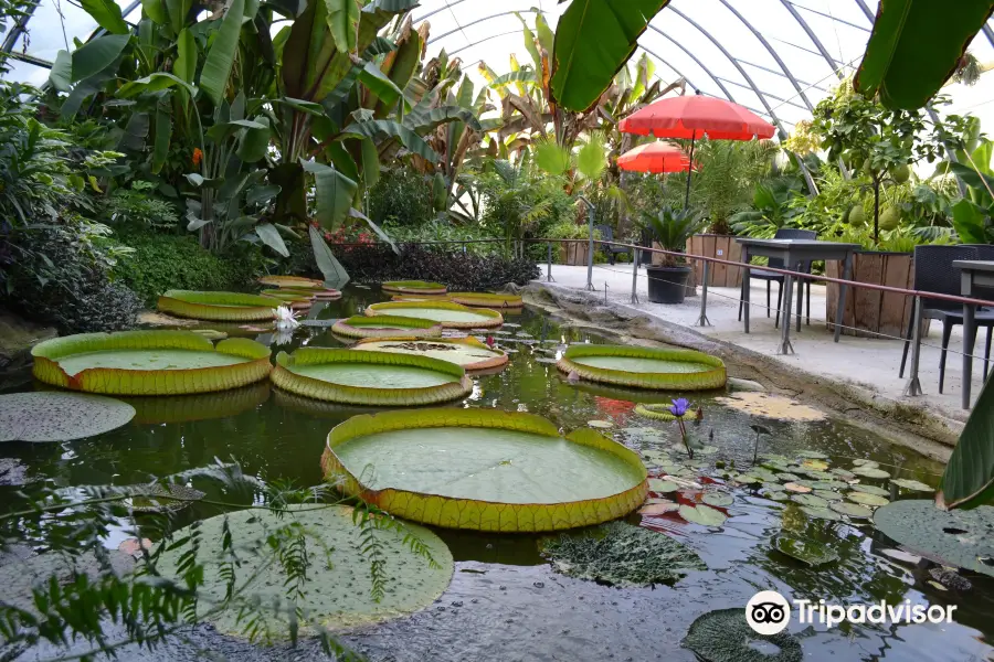 Jardin Botanique du Beau Pays