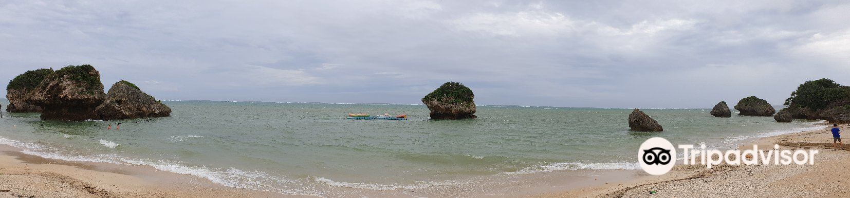 沖縄 南城 みーばるビーチ グラスボトムボート水中ツアー 予約