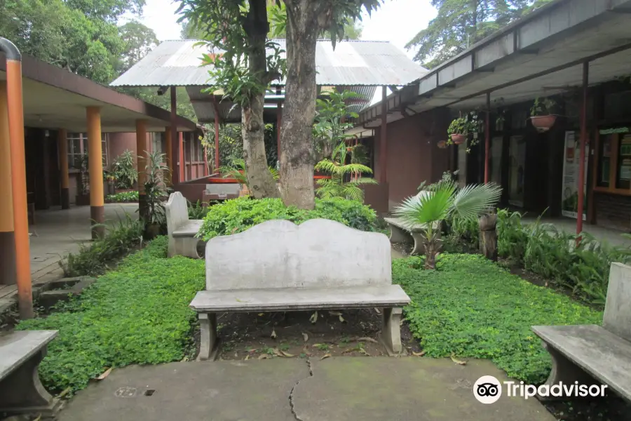 Jardín Botánico, Guatemala