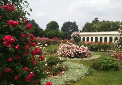 Niso Fumagalli Rose Garden