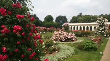 Niso Fumagalli Rose Garden