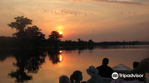 Cajun Country Swamp Tours