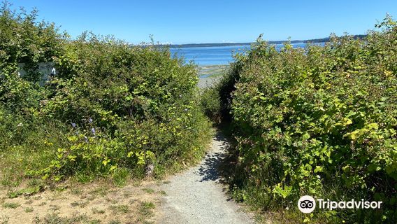 Lochside Waterfront Park