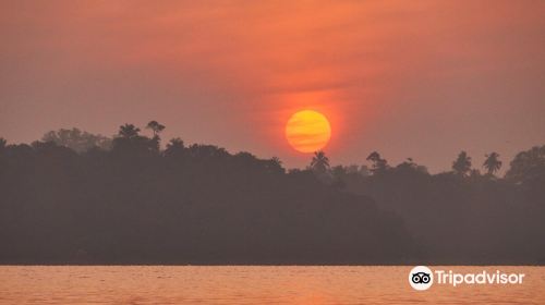 Jayasooriya lagoon boat safari service