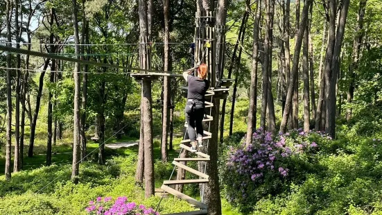 Go Ape Margam (Treetop Challenge, Zip Lines, Zip Wires, High Ropes)