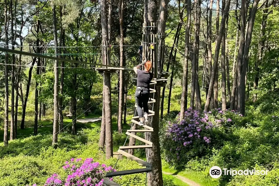 Go Ape Margam (Treetop Challenge, Zip Lines, Zip Wires, High Ropes)