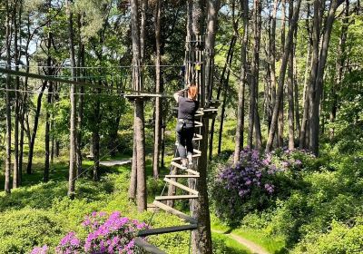 Go Ape Margam (Treetop Challenge, Zip Lines, Zip Wires, High Ropes)