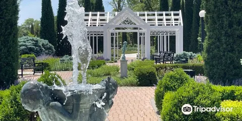 林肯