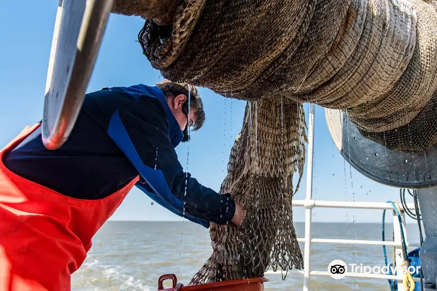 Expeditie Waddenzee