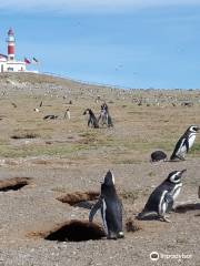 Monumento Natural Los Pingüinos