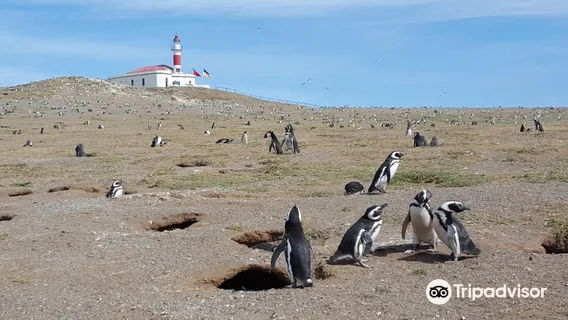 Monument naturel Los Pingüinos