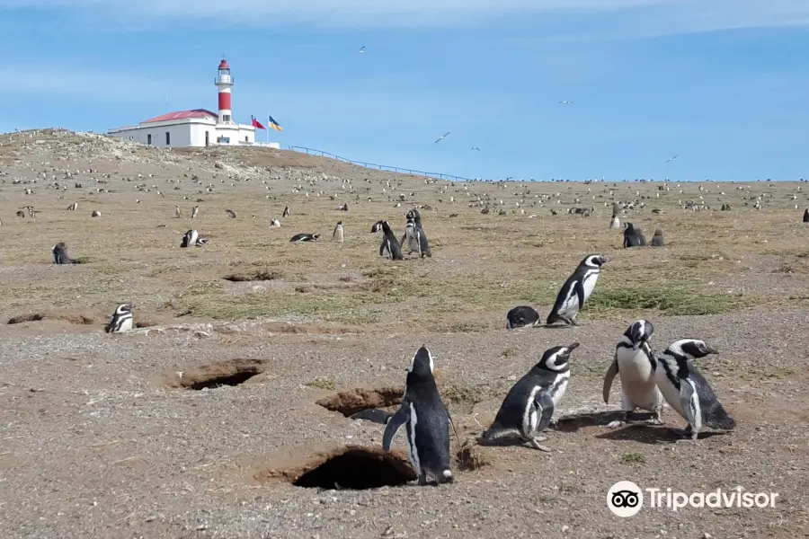 Monumento Natural Los Pinguinos