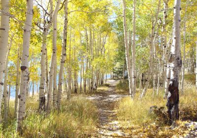 Fishlake National Forest