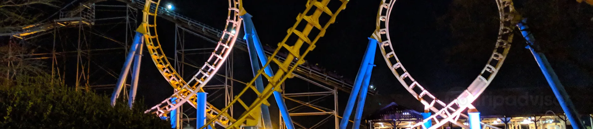 Night Attractions