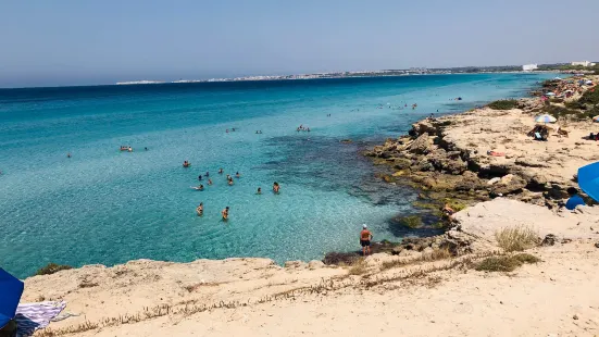 Parco Naturale regionale Isola di S.Andrea e litorale di Punta Pizzo