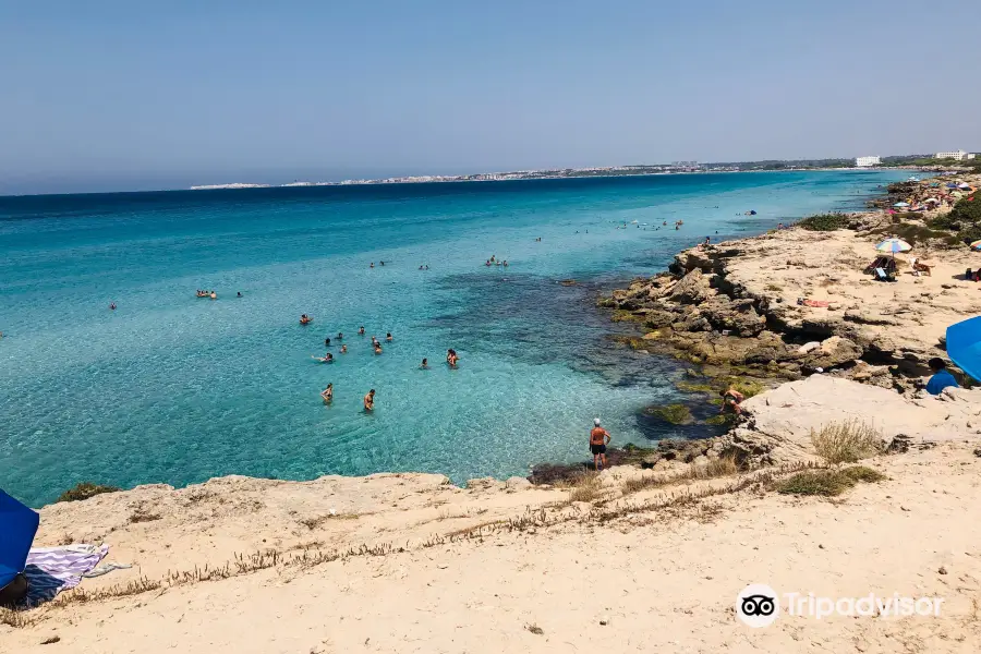 Parco Naturale regionale Isola di S.Andrea e litorale di Punta Pizzo